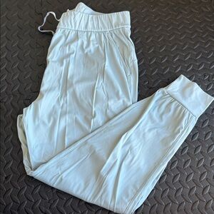 Sage Collective Light Blue Joggers